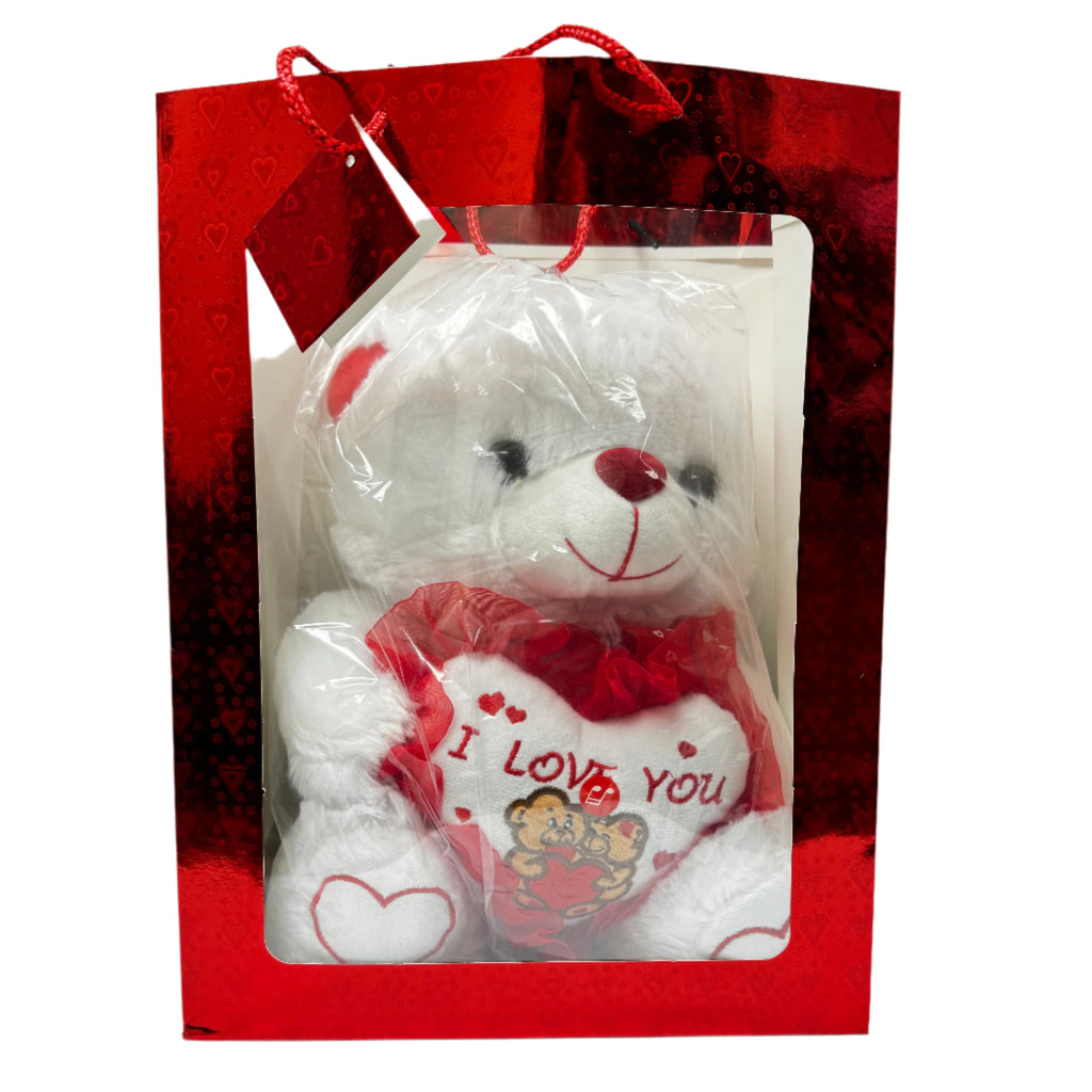Plush Teddy in Bag 12in