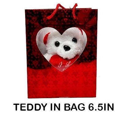 6.5in Plush Teddy in a Bag