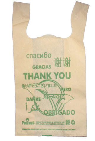 Packwell Non Woven Bag 1/6 (300CT)