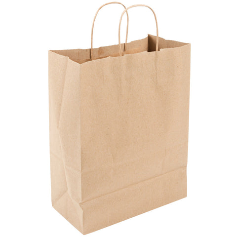 Paper Handle Bag 10x5x13 | 250CT Bundle